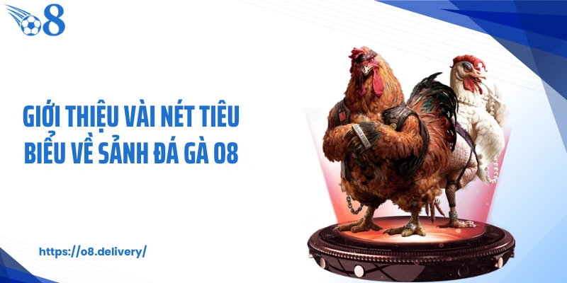 Giới thiệu vài nét tiêu biểu về sảnh đá gà O8